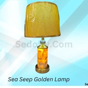Table Lamp Made with Sea Shell